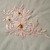 Embroidered Beaded Tulle IVORY / PINK