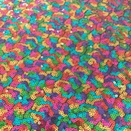 Random Rainbow Sequin MULTI