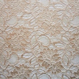 Corded Lace CHAMPAGNE