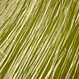Crinkled Lame GOLD