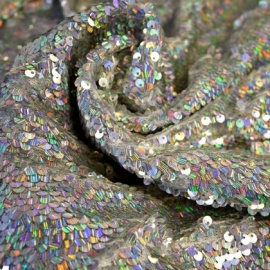 Hologram Flip Sequin SILVER