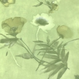 Printed Flower Organdy GREEN