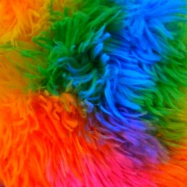 Rainbow Fur