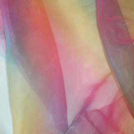 Rainbow Organza